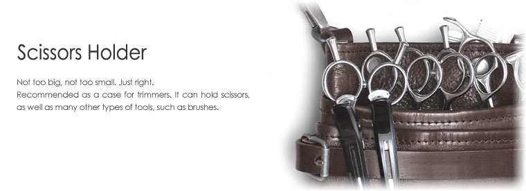 Scissors holder