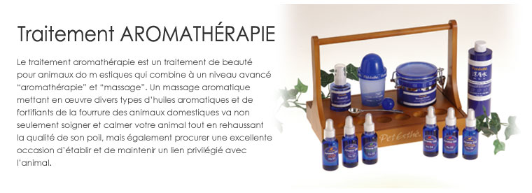 AROMATHERAPY System