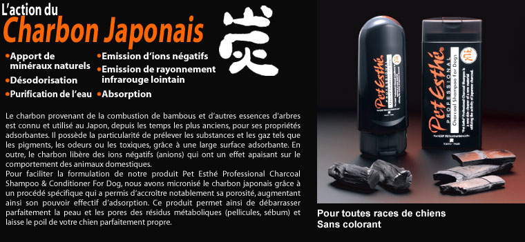 L’action du charbon japonais