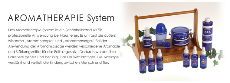 Aromatherapy System