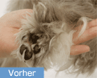 Esthé Paw Pad Care Treatment image