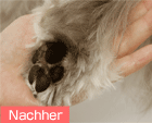 Esthé Paw Pad Care Treatment image