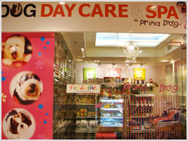 Dog Day Care & Spa by Prima Dog
