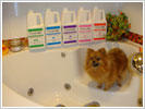 Dog Day Care & Spa by Prima Dog