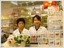 Dog Day Care & Spa by Prima Dog